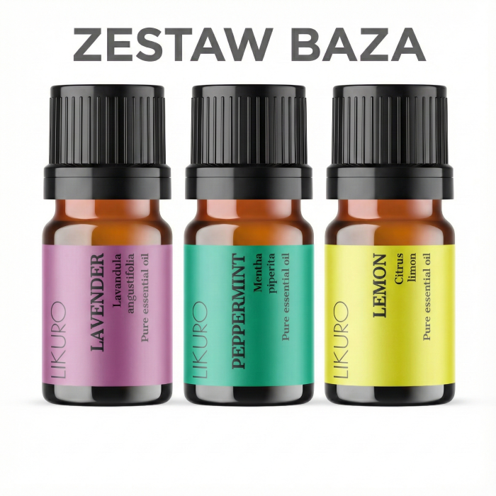 grafika zestaw baza.png